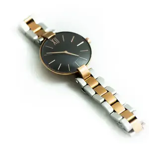 LG OLED C1 Series TV (Digital)